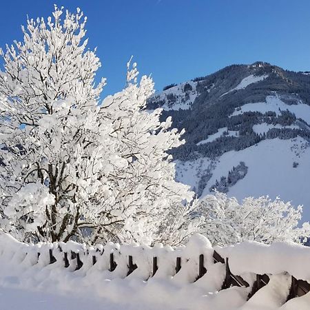 Talblickhuette Villa Rauris Exteriör bild